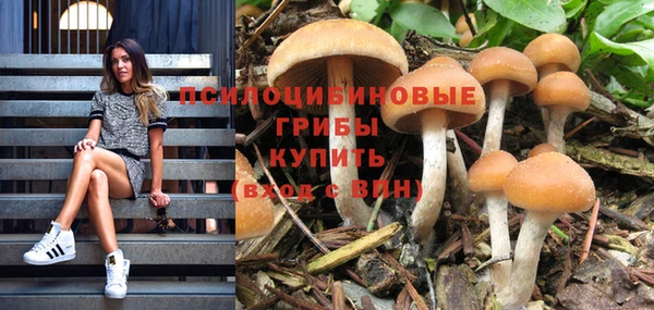 бошки Семикаракорск