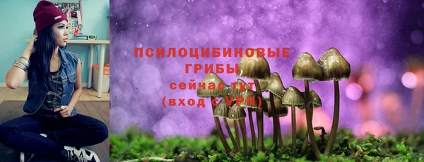 бошки Семикаракорск