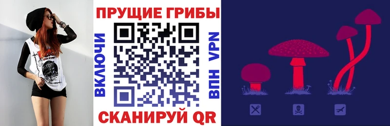 Галлюциногенные грибы Psilocybe  Купить  Клинцы 